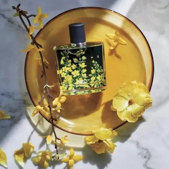 NEST Fragrances Citrine Eau de Parfum, New in Box - Picture 1 of 3